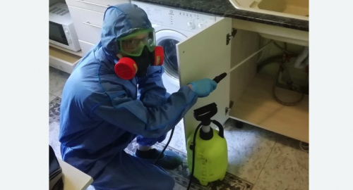 Уничтожение муравьев в квартире. Наро-Фоминск