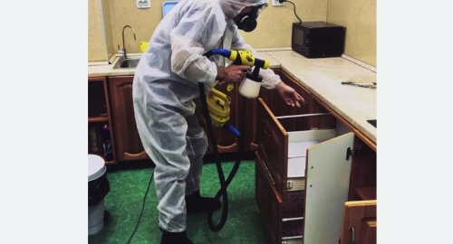 Уничтожение насекомых в квартире. Наро-Фоминск