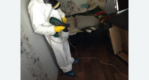 Обработка квартир от насекомых в Наро-Фоминске