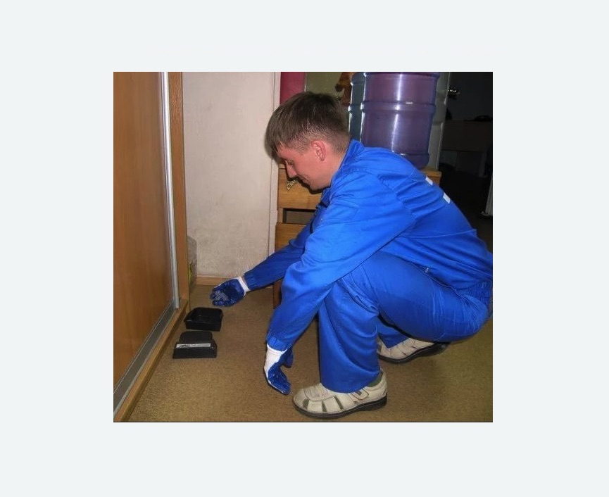 Дератизация крыс в Наро-Фоминске