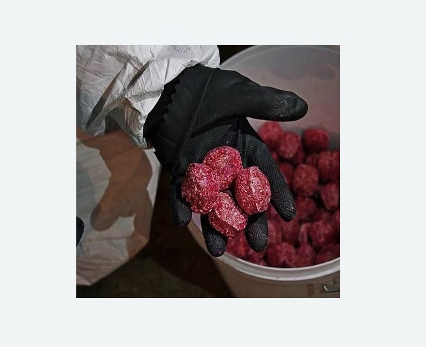 Обработка от крыс в Наро-Фоминске