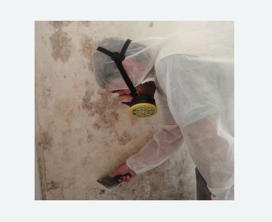 Обработка стен от плесени в Наро-Фоминске