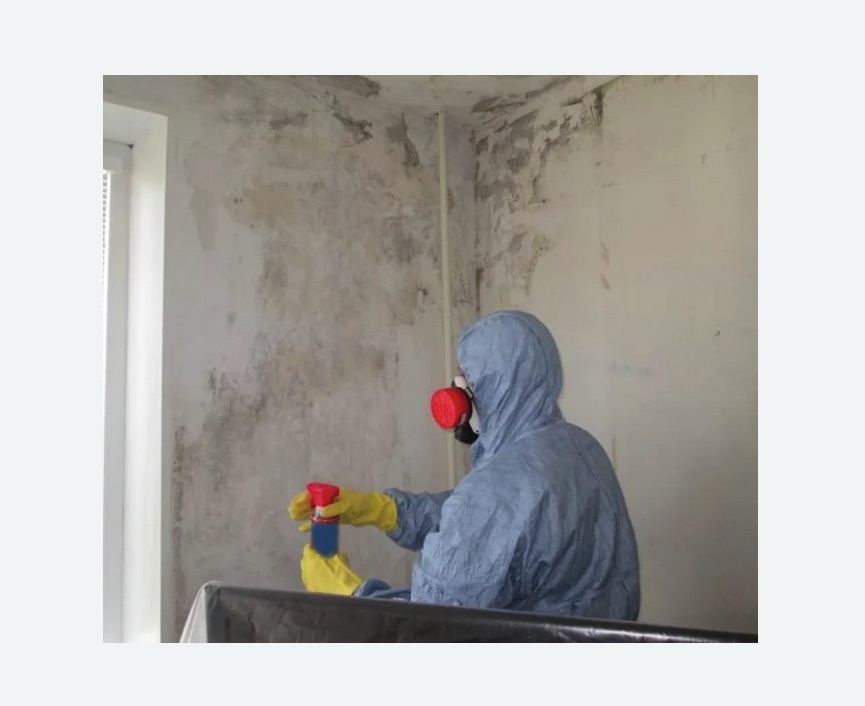 Удаление плесени в квартире в Наро-Фоминске