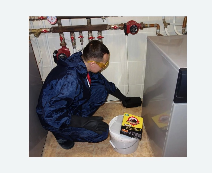 Уничтожение крыс в Наро-Фоминске