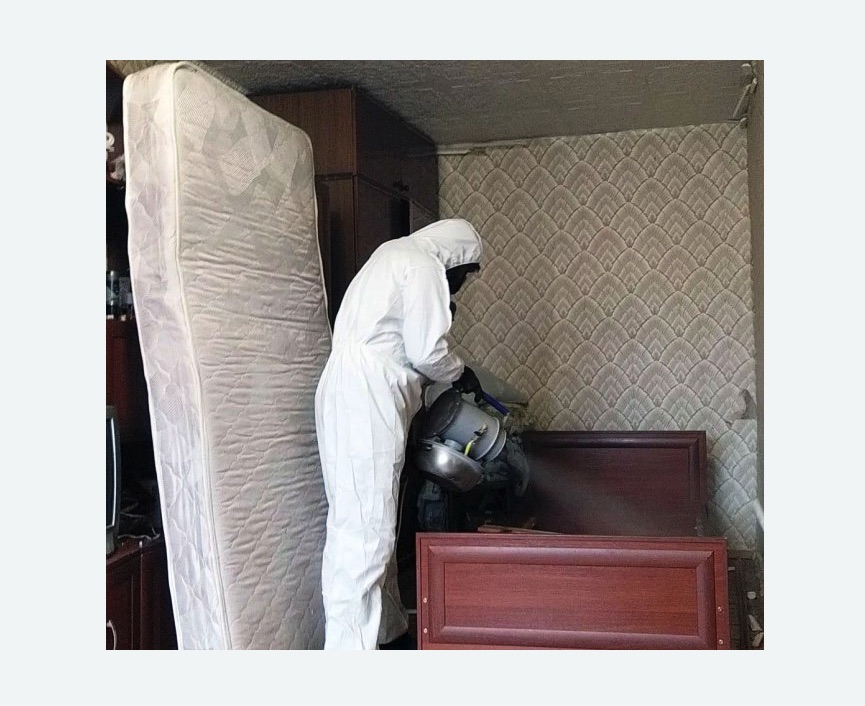 дезинфекция от клопов в Наро-Фоминске