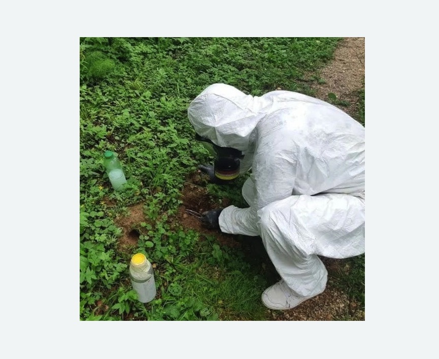 уничтожение кротов на участке в Наро-Фоминске