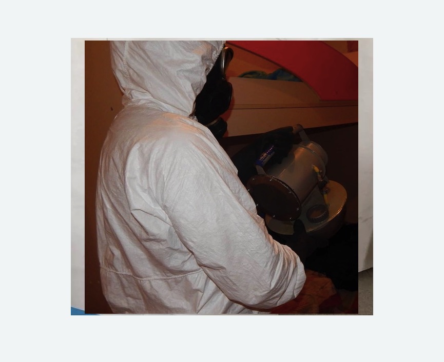 Дезинфекция от муравьев в Наро-Фоминске