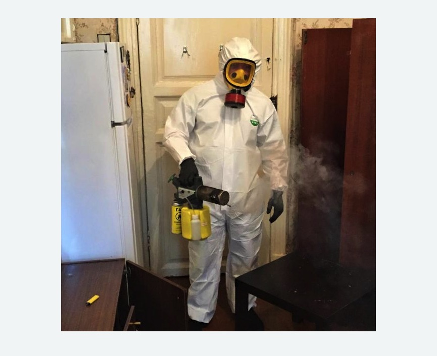 уничтожение муравьев в квартире в Наро-Фоминске